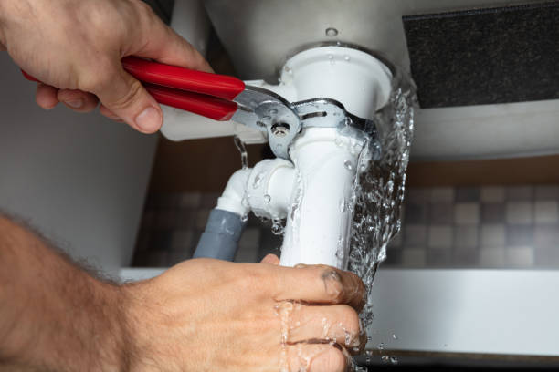 Best Ceiling water damage repair  in Millport, AL
