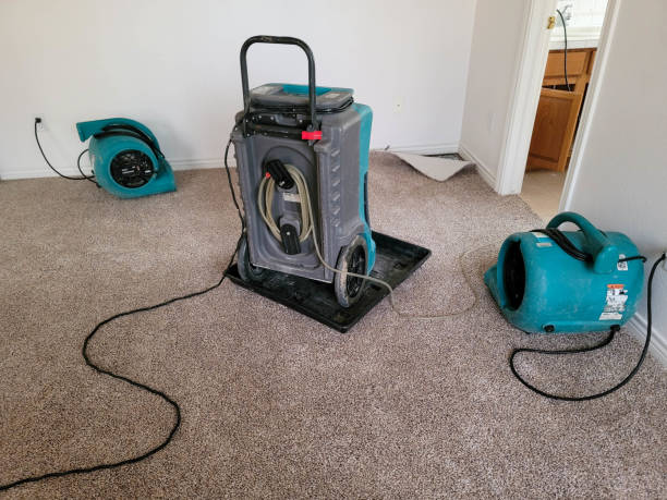 Best Flood damage cleanup  in Millport, AL