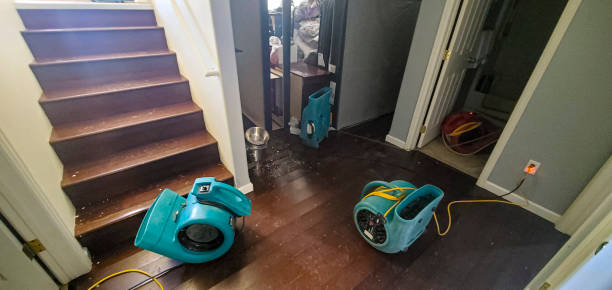 Best 24/7 water damage repair  in Millport, AL
