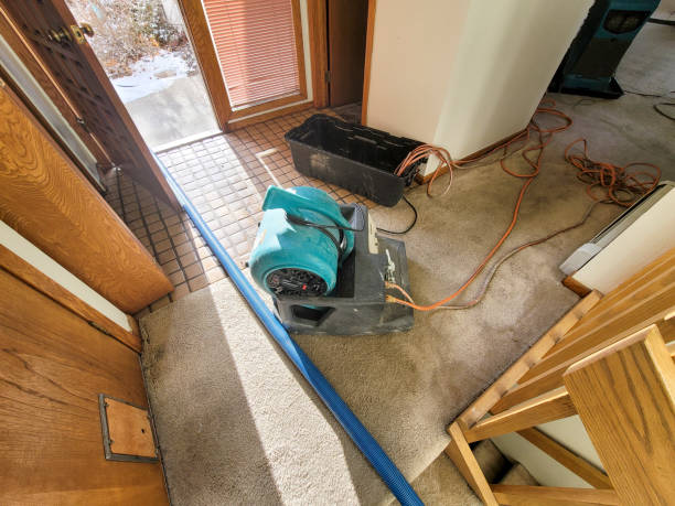 Best Sewage cleanup and water damage restoration  in Millport, AL