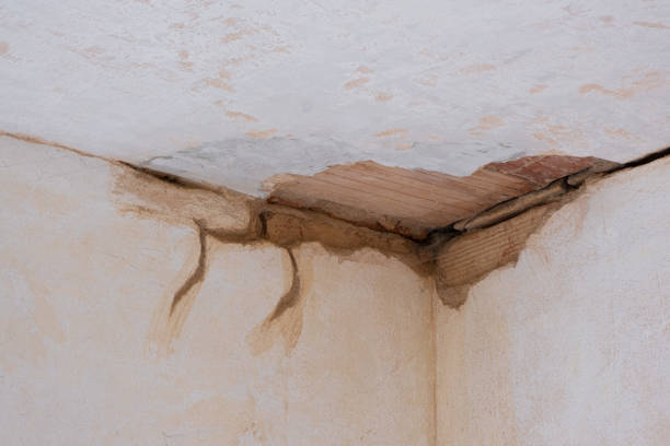 Best Flooded house restoration  in Millport, AL