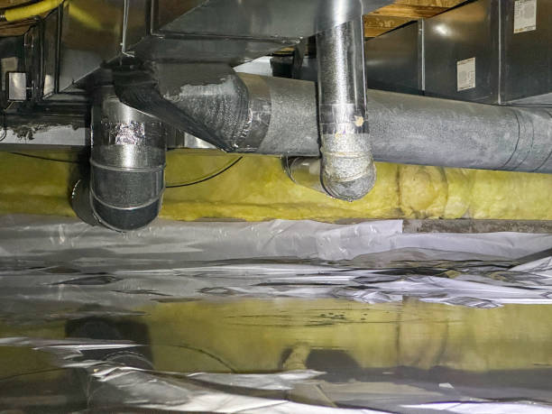 Best Water damage restoration near me  in Millport, AL