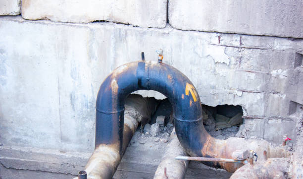 Best Carpet water damage restoration  in Millport, AL