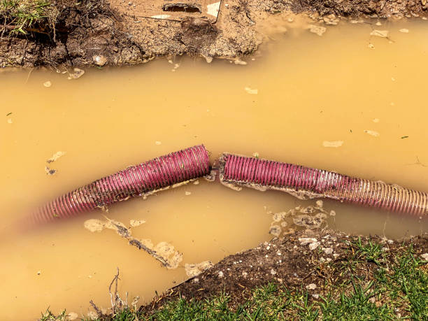 Best Water damage contractors near me  in Millport, AL