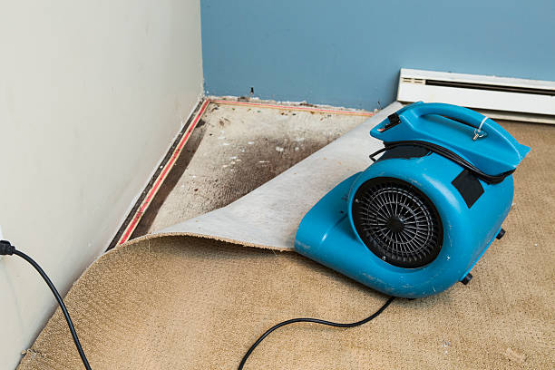  Millport, AL Water damage restoration Pros