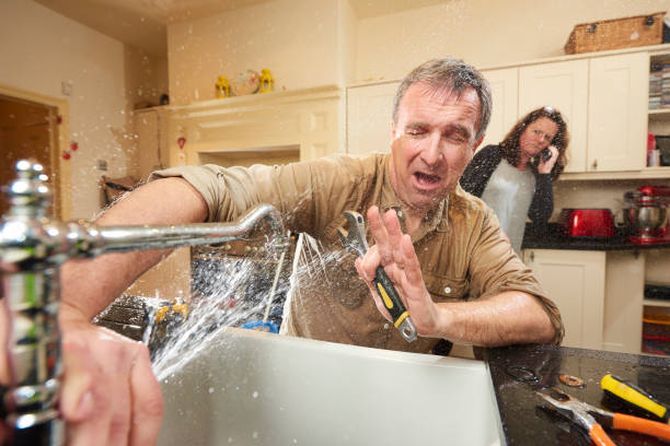 Best 24/7 water damage repair  in Millport, AL